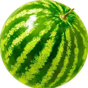 AAA 江西火鸡面批发王总