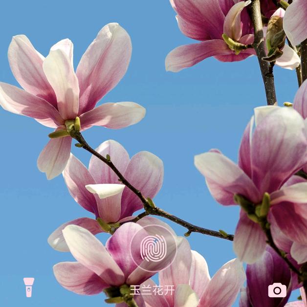 ☞余～生✔请※多☆指♧教☜