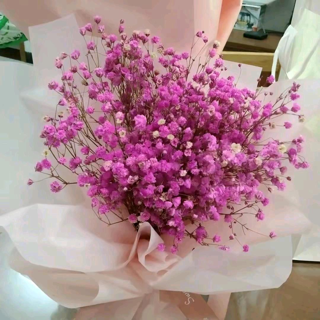 开心每一天🌹🌹🌹