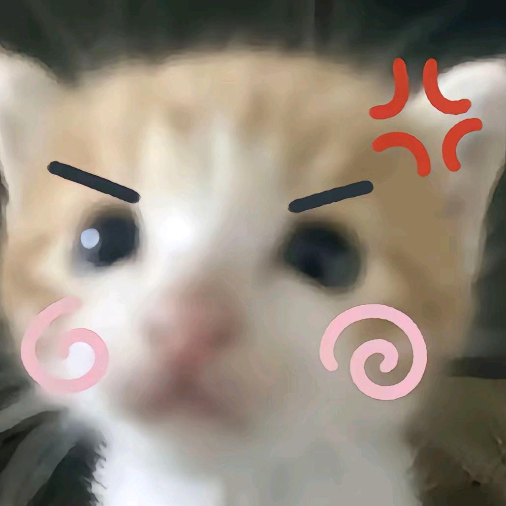 小张哥