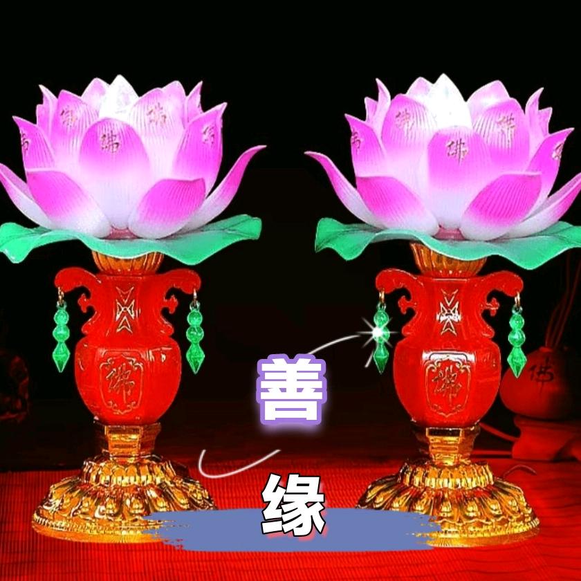 善缘老王