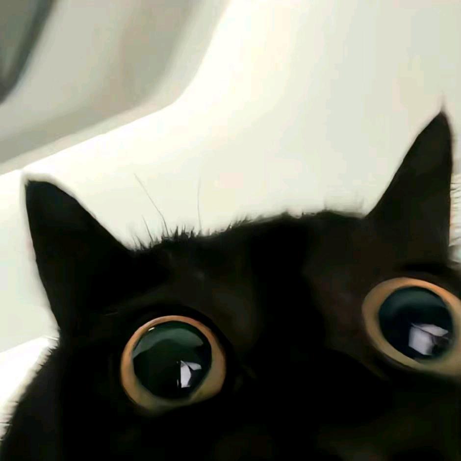 星期⑧在找你约会