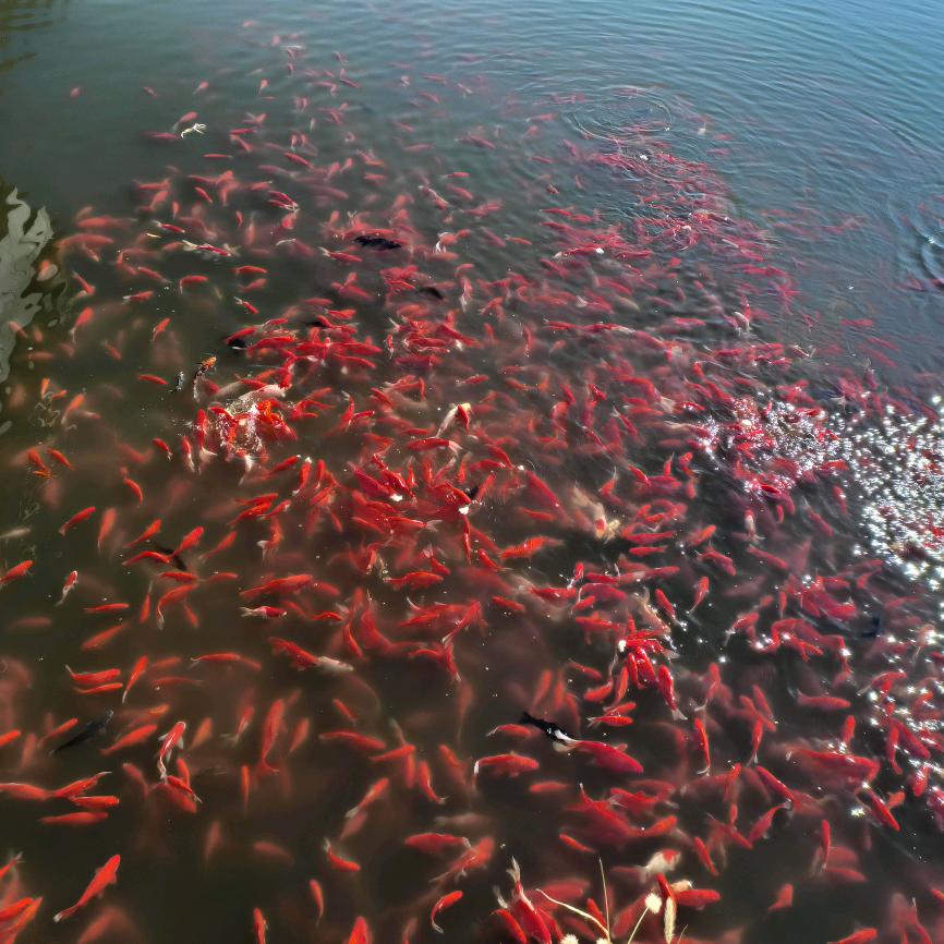 不是结束是开始