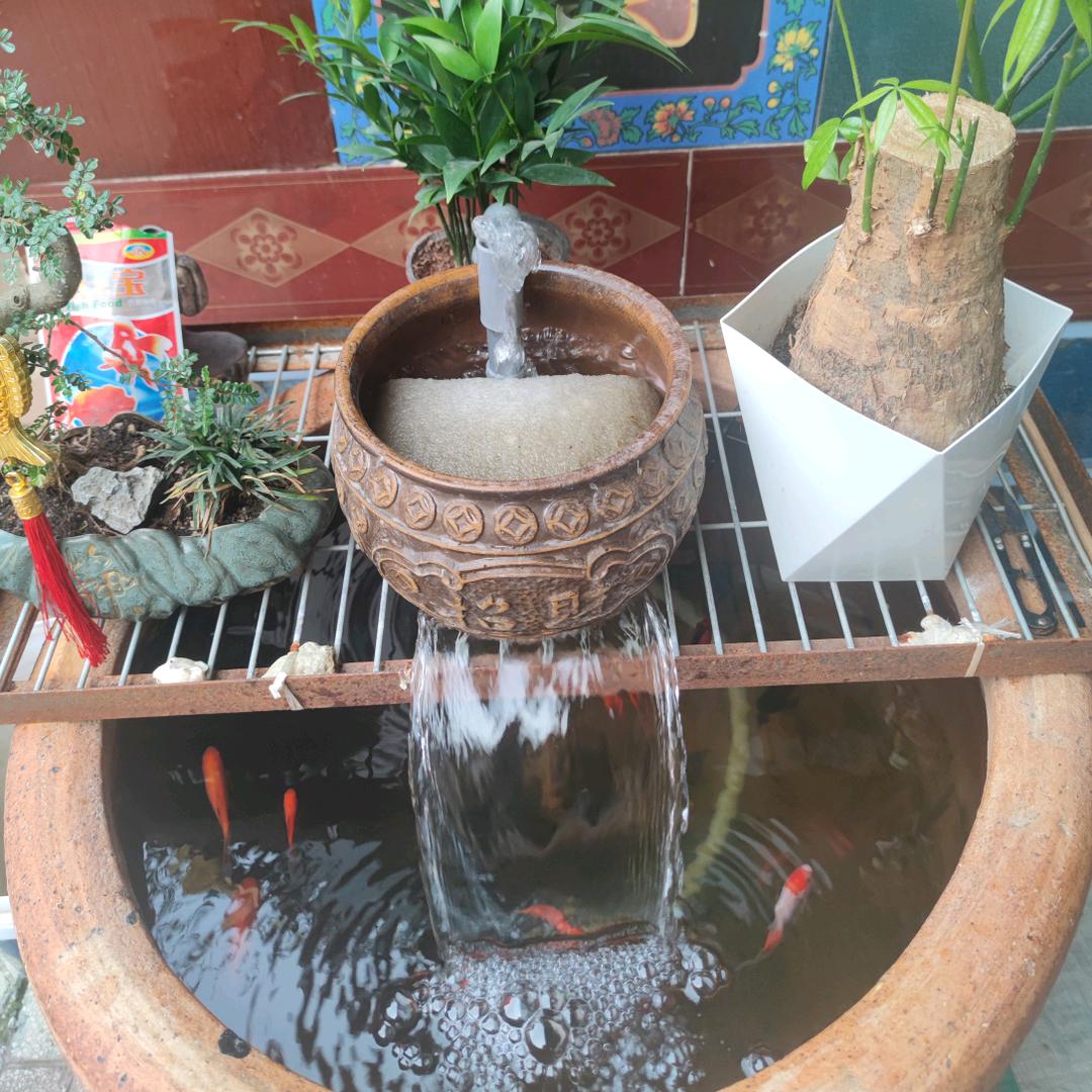 @诚信动力马犬