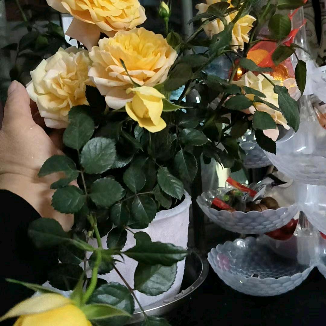 永远倍你