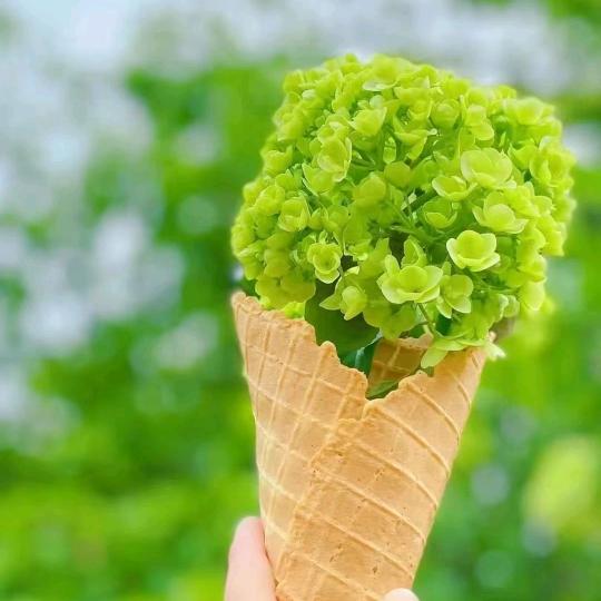 呜哩玛嚓