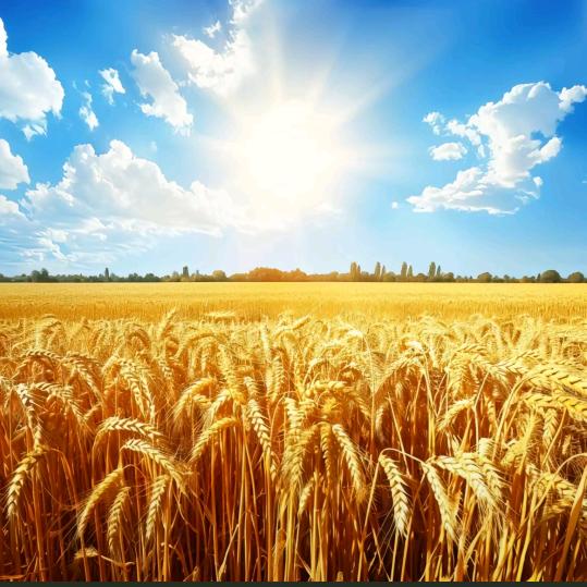 ঞᩚ᭄幸运ꕥ້໌ᮨ相随 💞