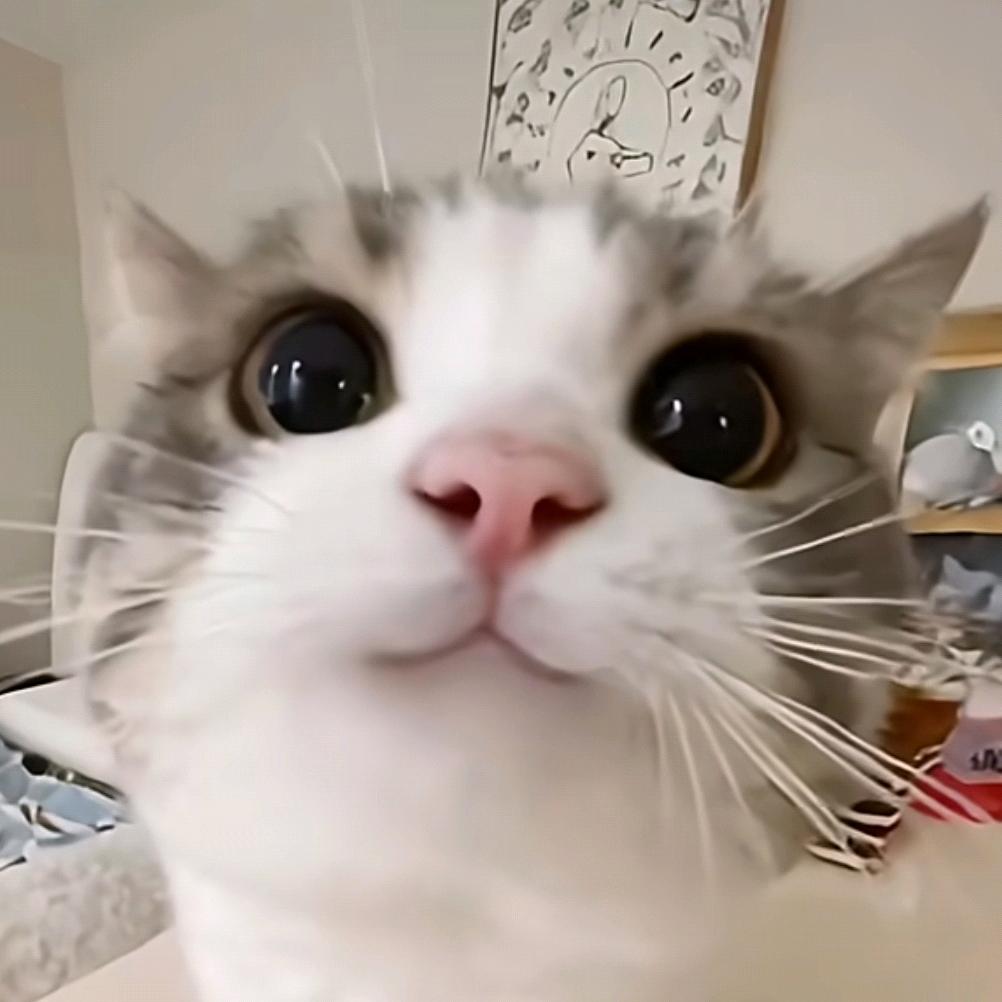 我是只小虫子