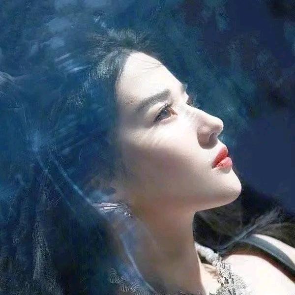 仙女的橱窗🪟