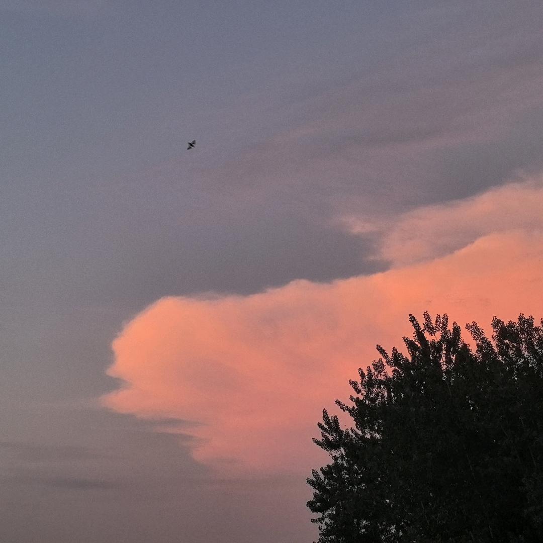 我一定要能做引体向上！！！