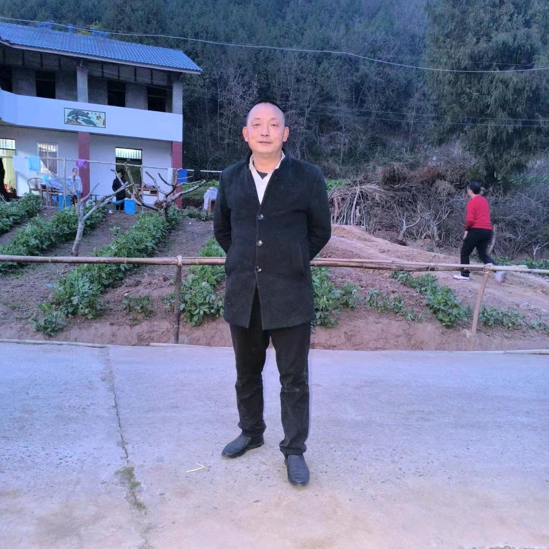 邹毛哥