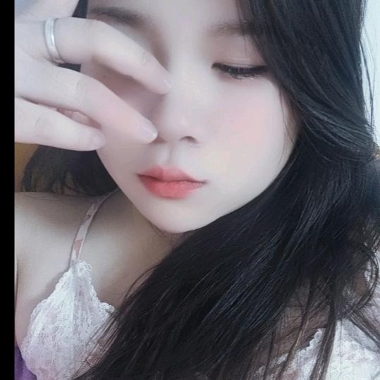 🐷释怀🐷