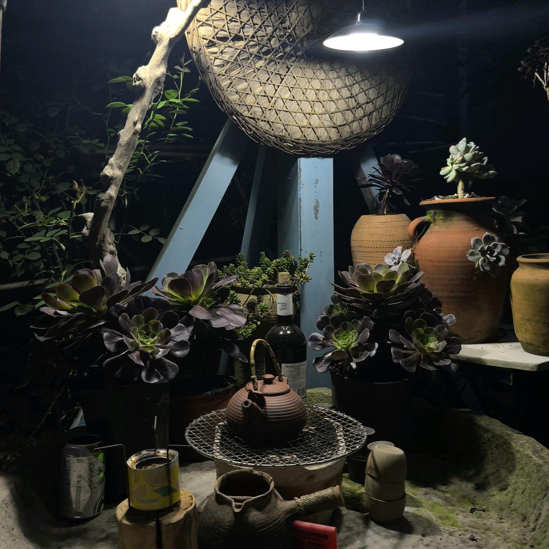 王小二
