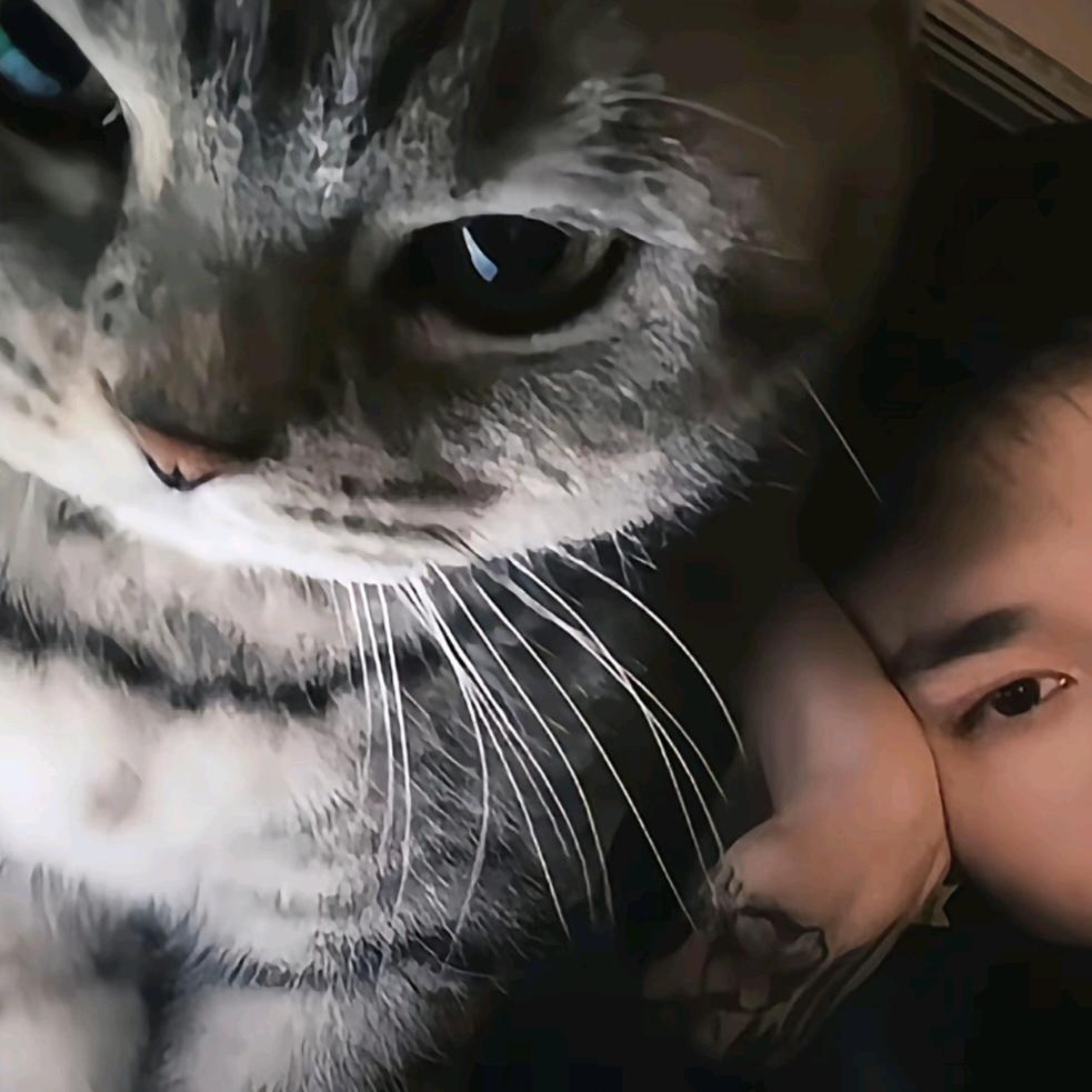 我不是青莲