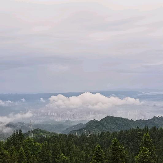 美好明天（拒绝私聊）