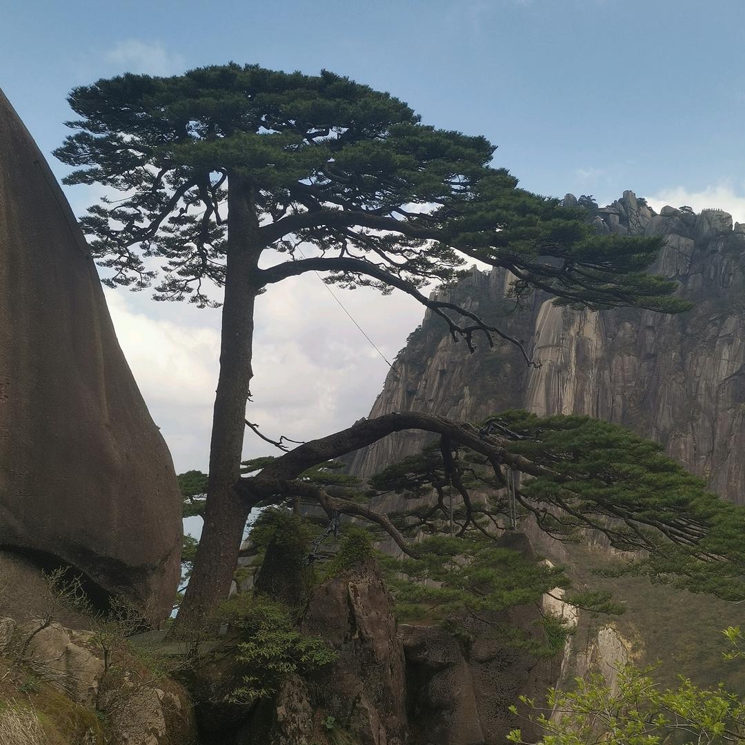 jialiang