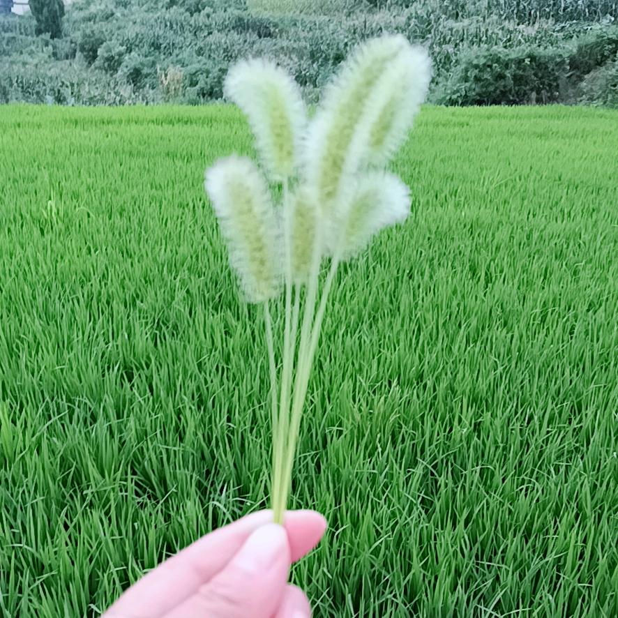 💖ღ余生᭄爱ღ自己᭄ꦿ꯭