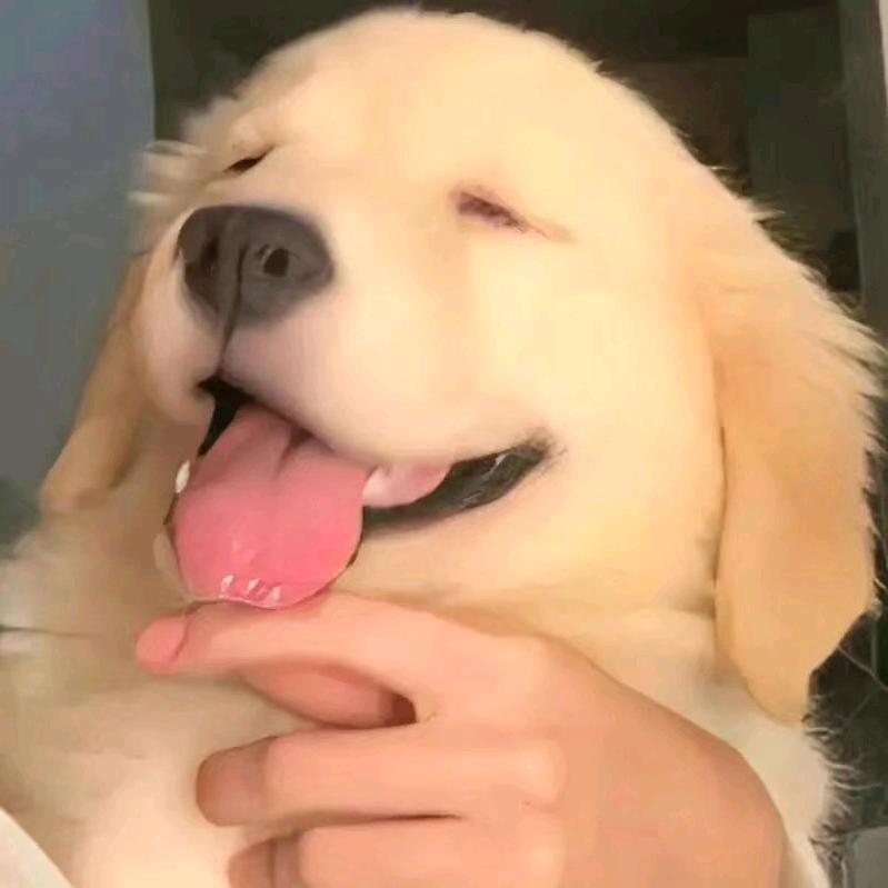 不忘想