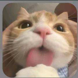 ｯ!!☆