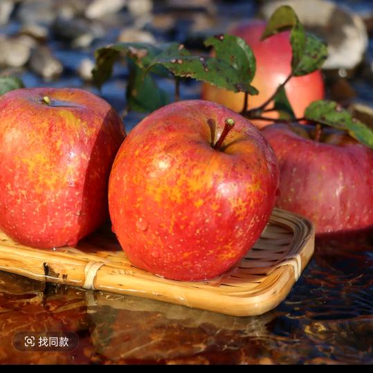 高原上的丑苹果