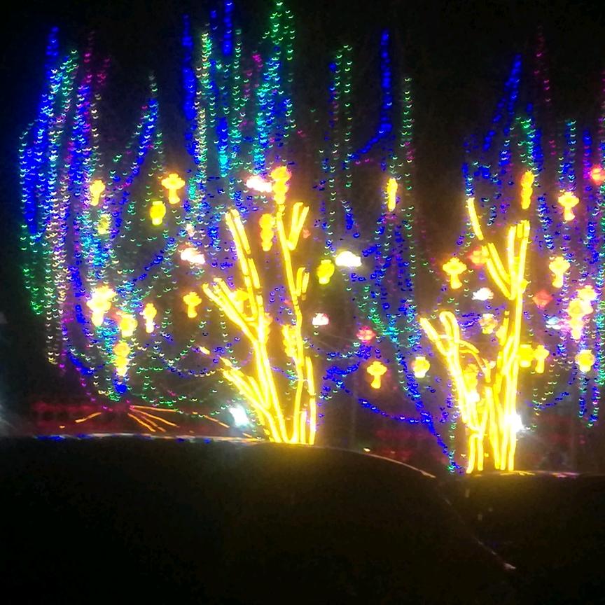 徐岩用户4427103519466