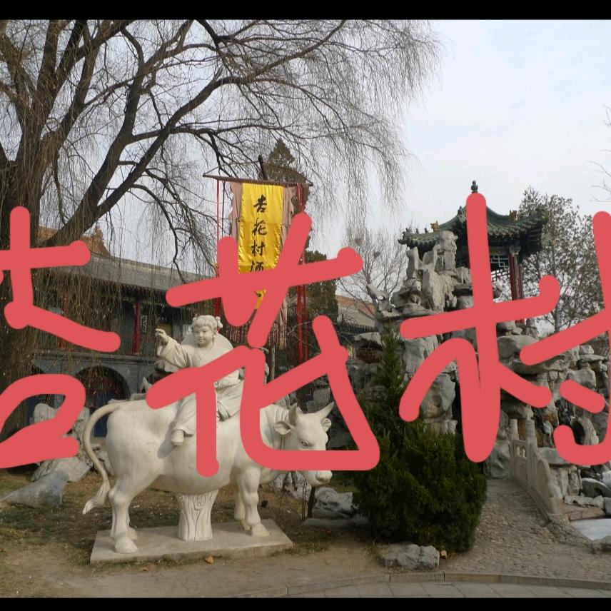 麻麻6596