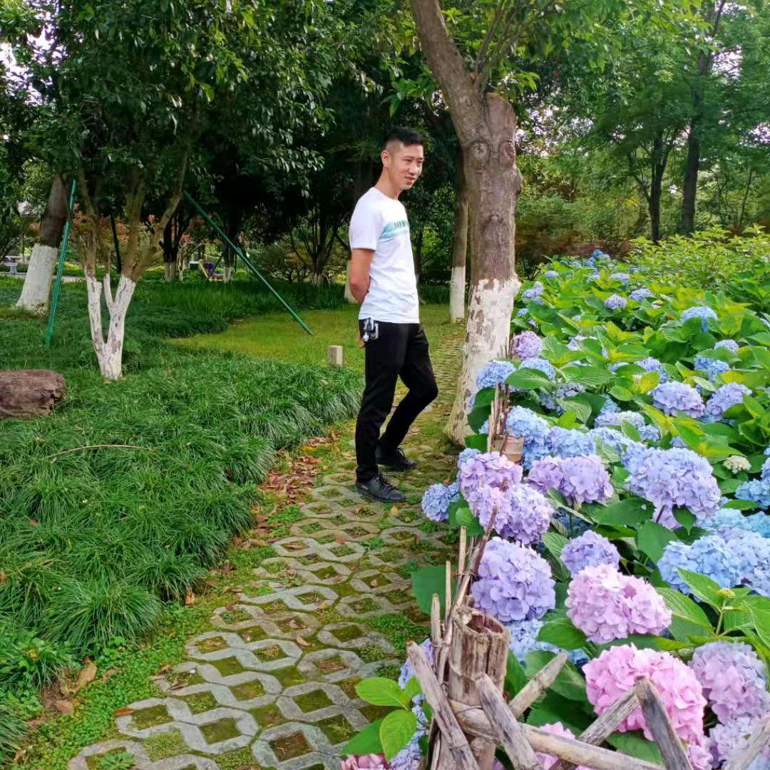 风吹不动，心在动