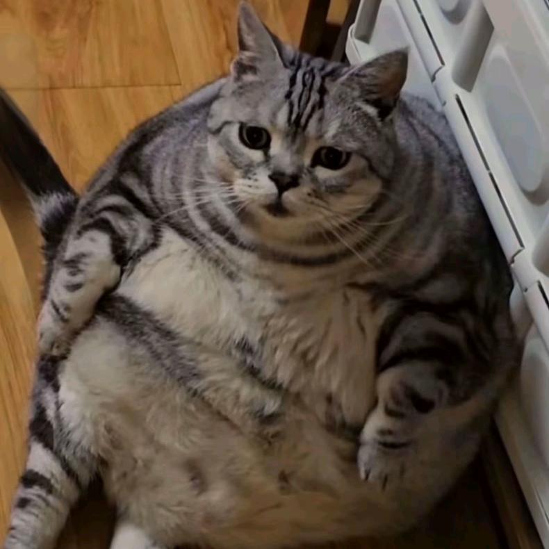 土狗