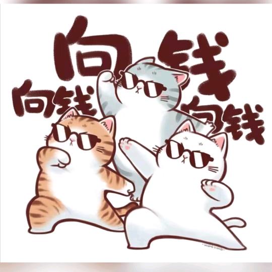 白茶清欢🍂
