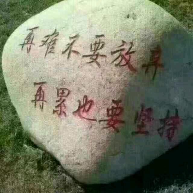 小胖撑杆跳2