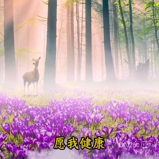 思妮