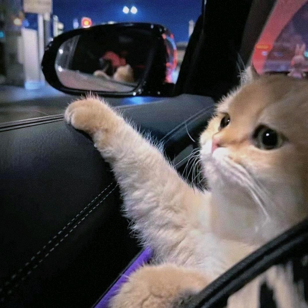 阳仔。