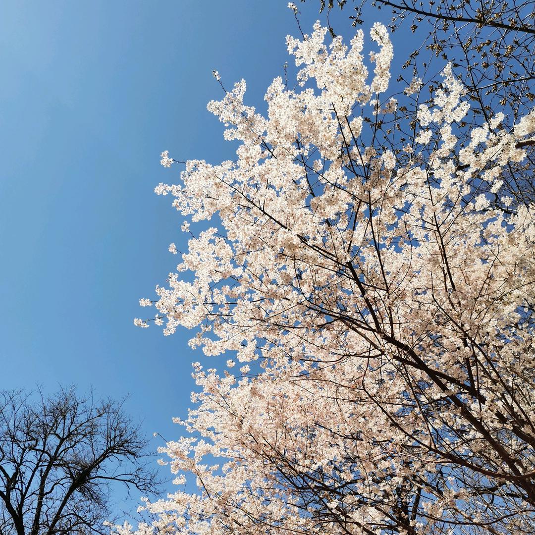 厉不厉害你坤哥