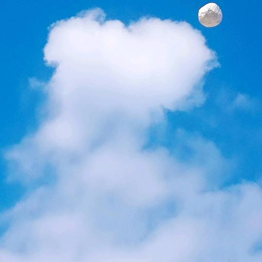 夕阳红