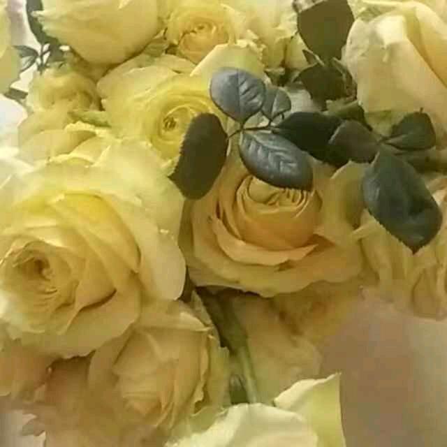 用户3931738070137活色生香