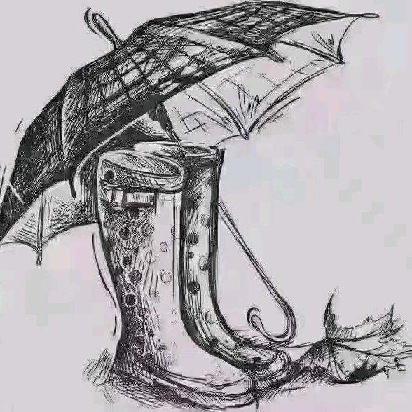 蛋仔雨号