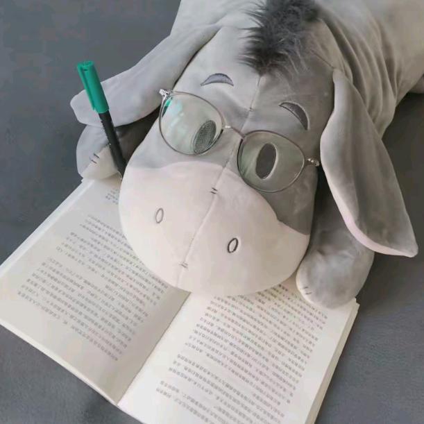 见晚月（三角洲行动）