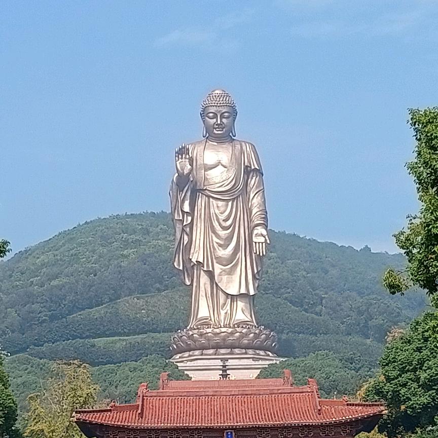 禅心悟境