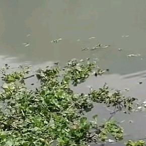 永辉隆昌