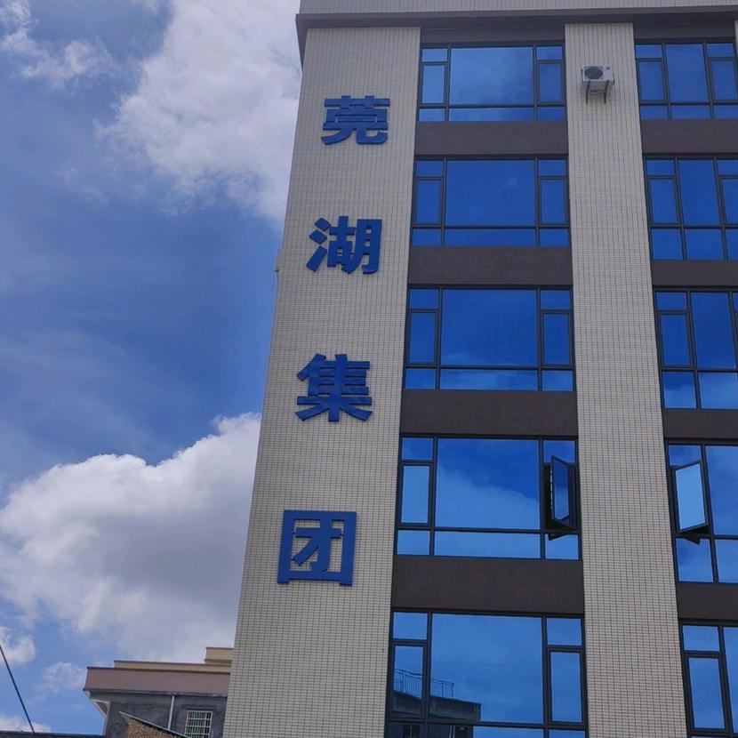 莞湖集团