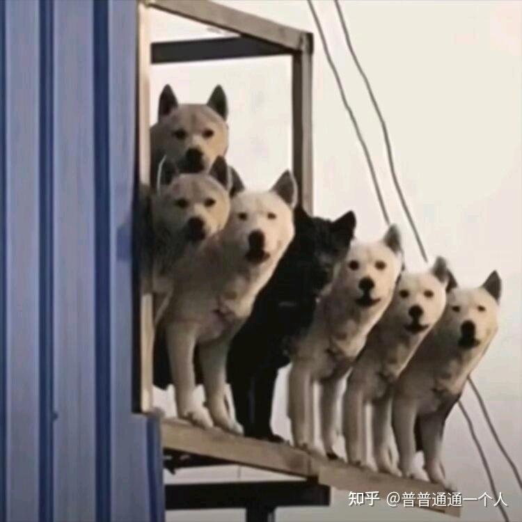 安乐