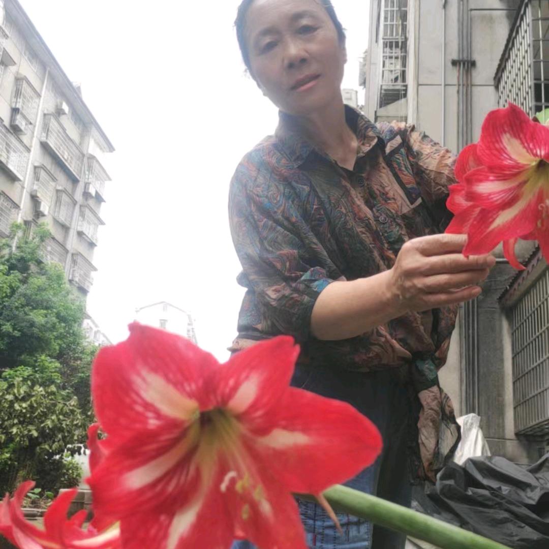 再姐姐