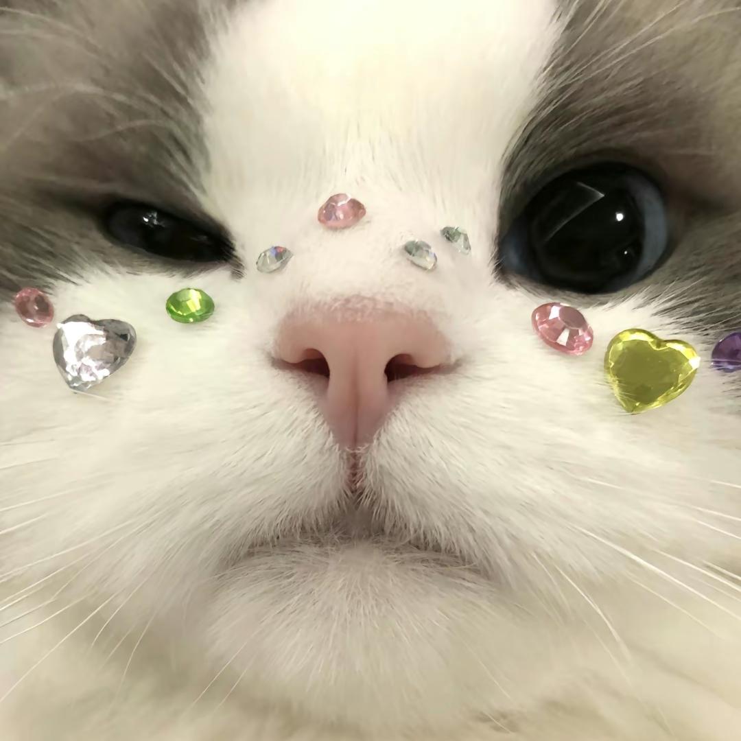 三一
