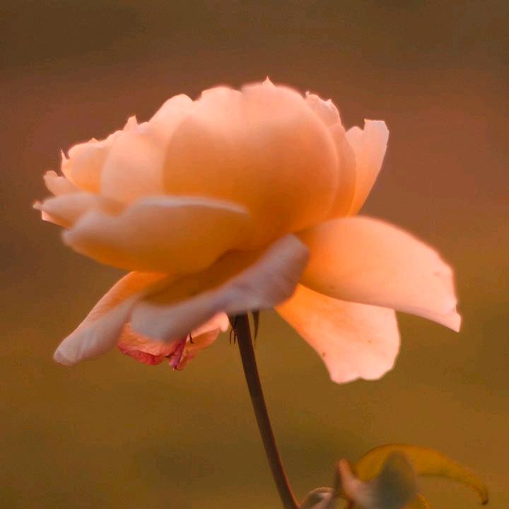 ㅤ ㅤㅤㅤ ㅤㅤ