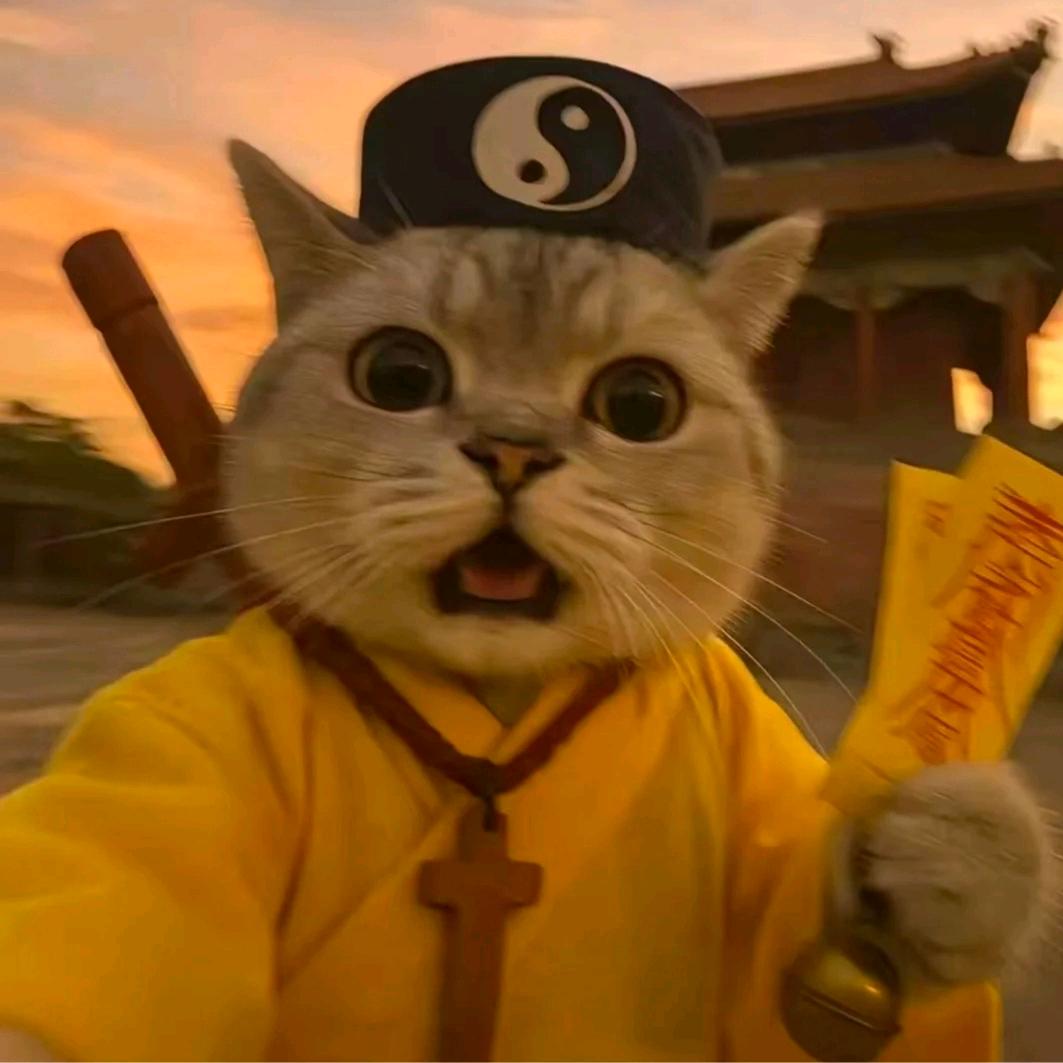 慕寒电竞