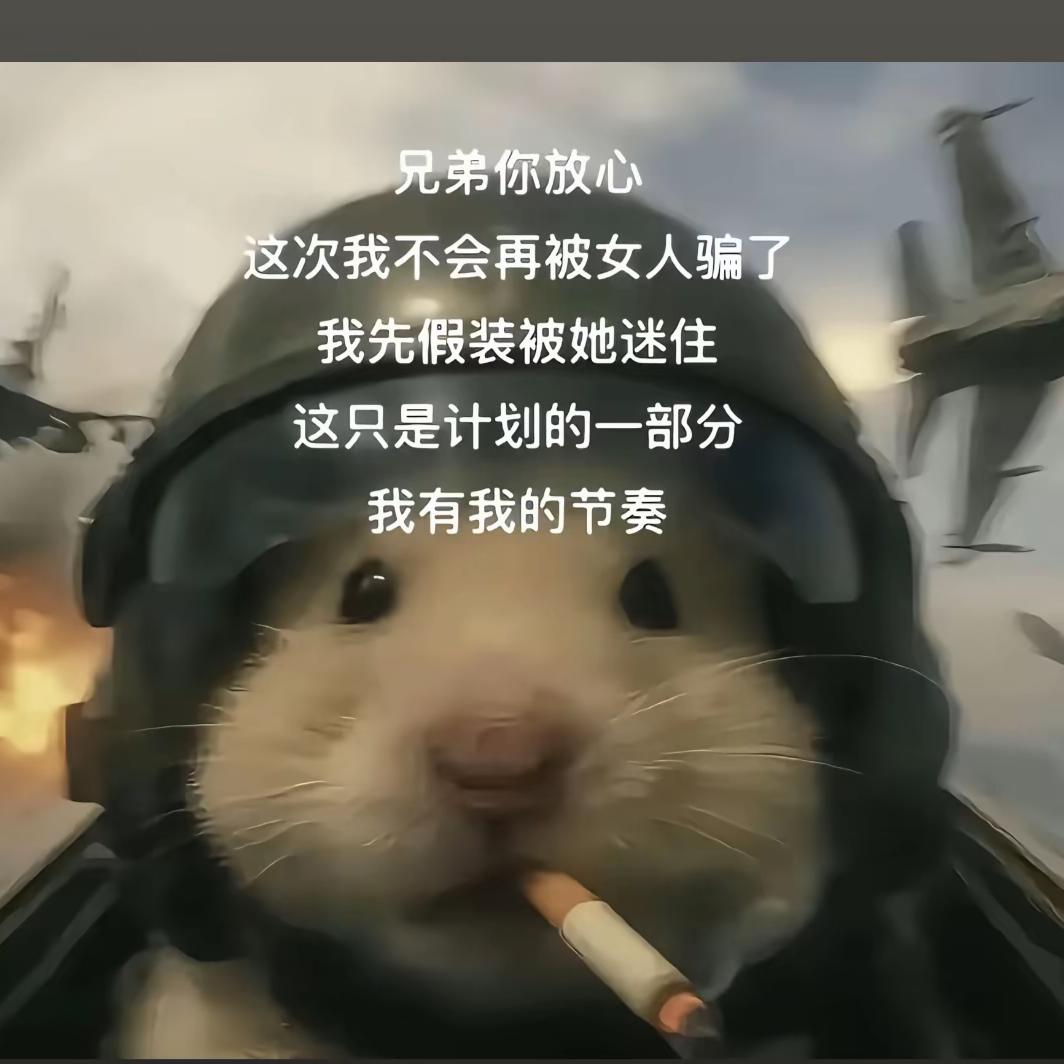 回风落雁