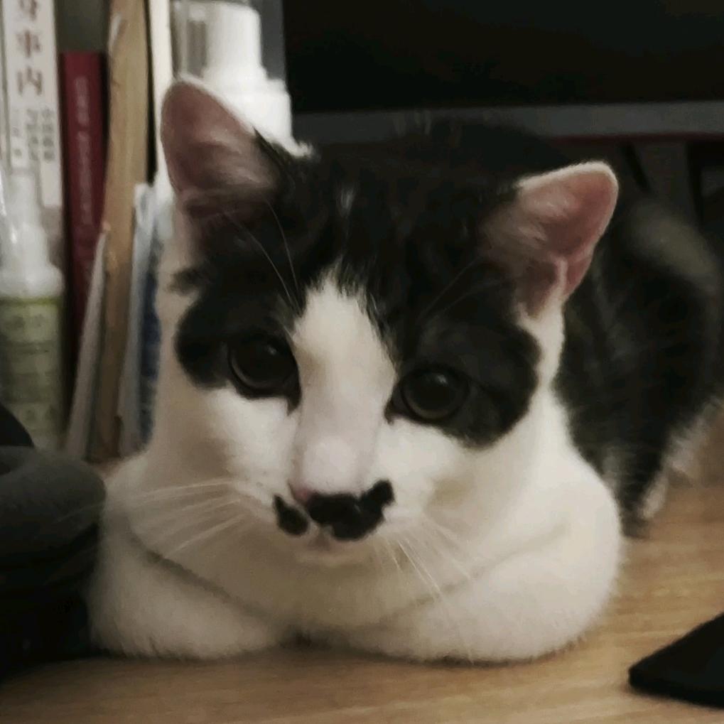 老迈