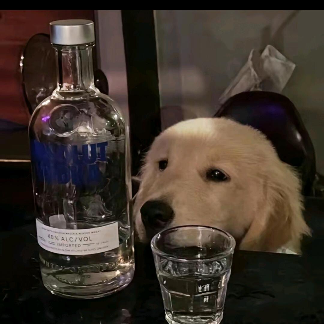 半吨小浩浩