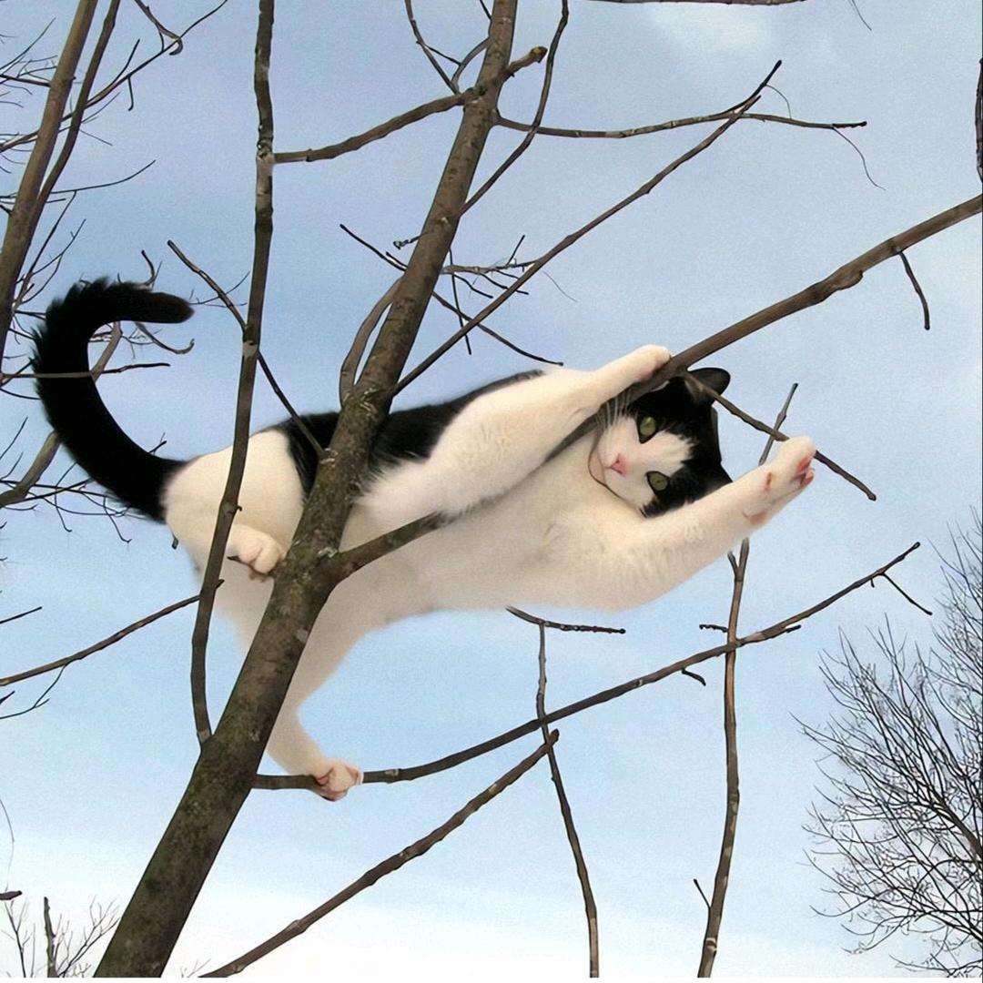 暗