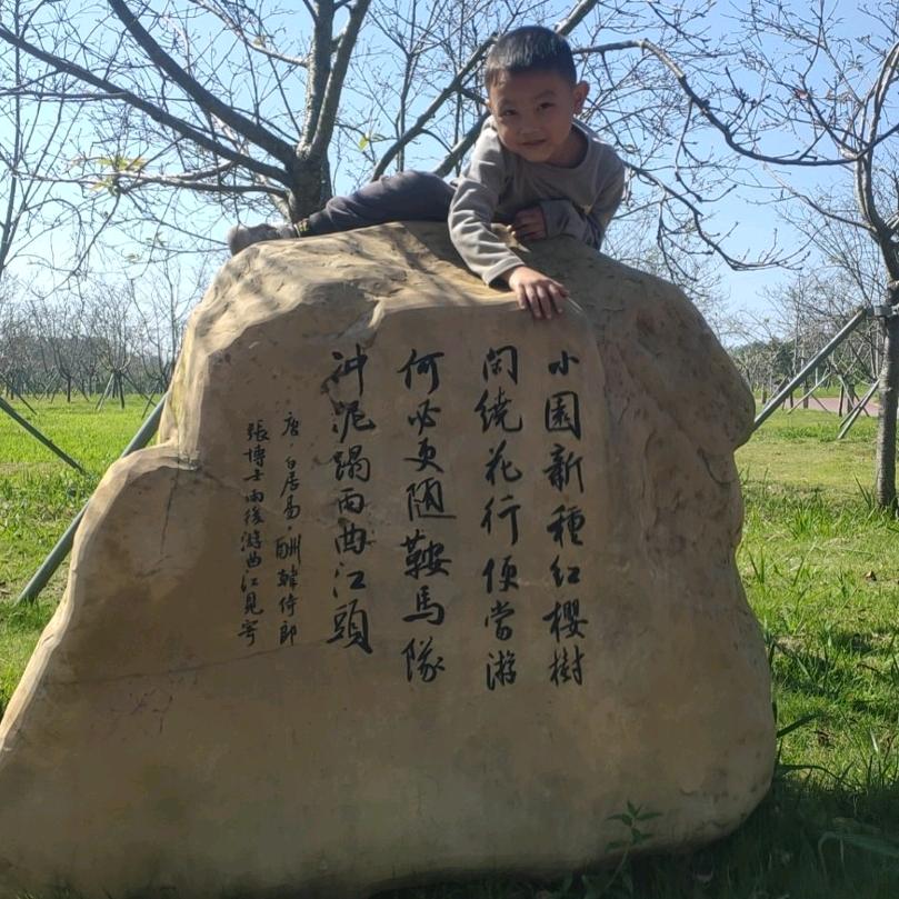 供应椰树水～煤气